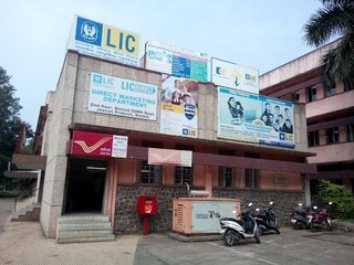 LIC could book record profits from sale of equities in FY15