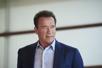 Schwarzenegger Joins Sequel to Cult Classic 'Kung Fury'