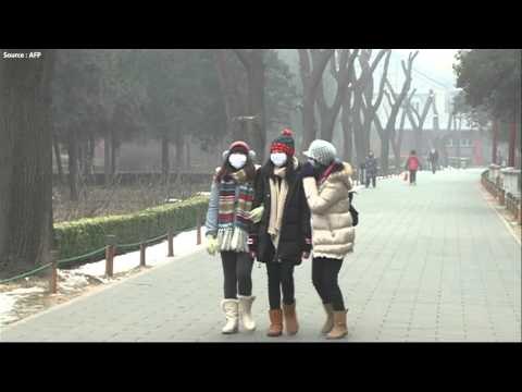 Air pollution killing 3.3 million people a year, says scientists