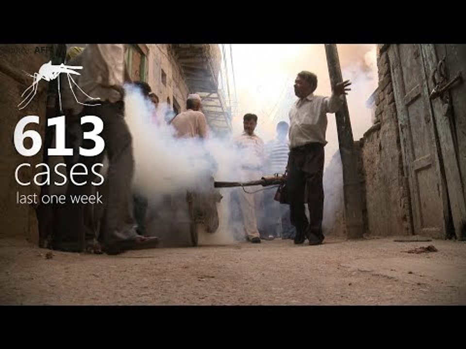 Dengue crisis: Delhi's worst outbreak in 5 years