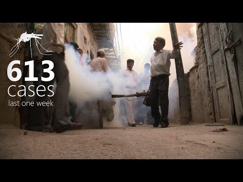 Dengue crisis: Delhi's worst outbreak in 5 years