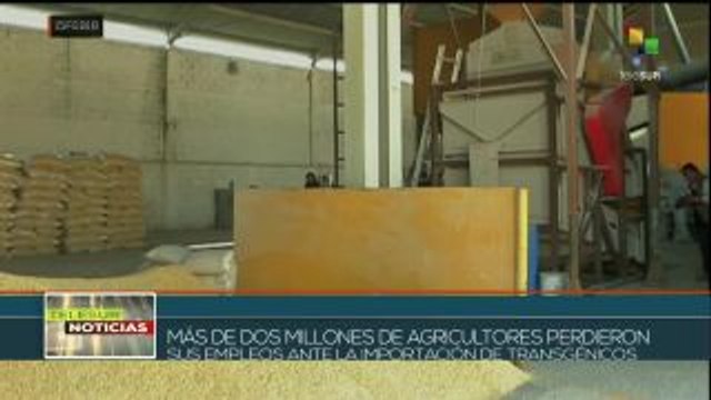 teleSUR Noticias: Gob. venezolano ratifica realización de elecciones