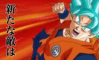Super Dragon Ball Heroes - Goku SSB VS Goku SS4