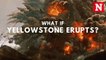 What if Yellowstone erupts?