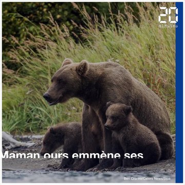 Animaux: Les plus belles images de la semaine