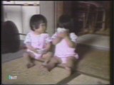 Videos de Primera 1 Alfonso Arus toros japonesitos