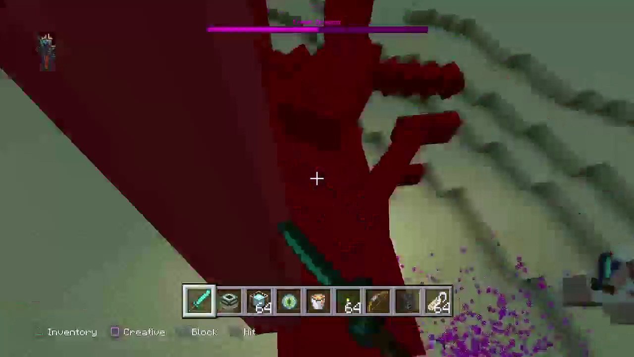 Killing the ender dragon (26)