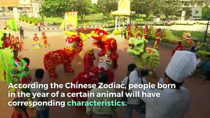 Chinese New Year: What is the Year of the Dog?