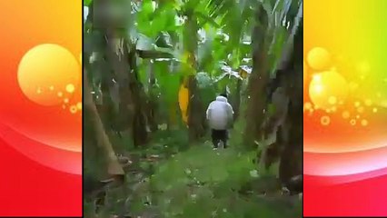 Amazing Skating Stunt.......    Must Watch