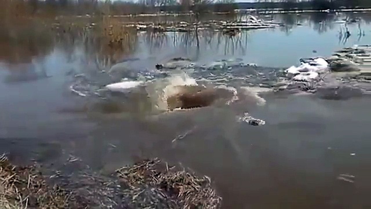 A very Horrible Video. You have never seen before