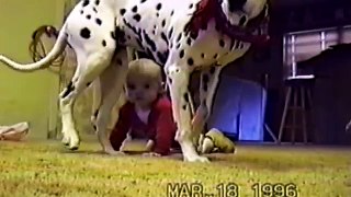 Cute Dogs And Adorable Babies Compilation