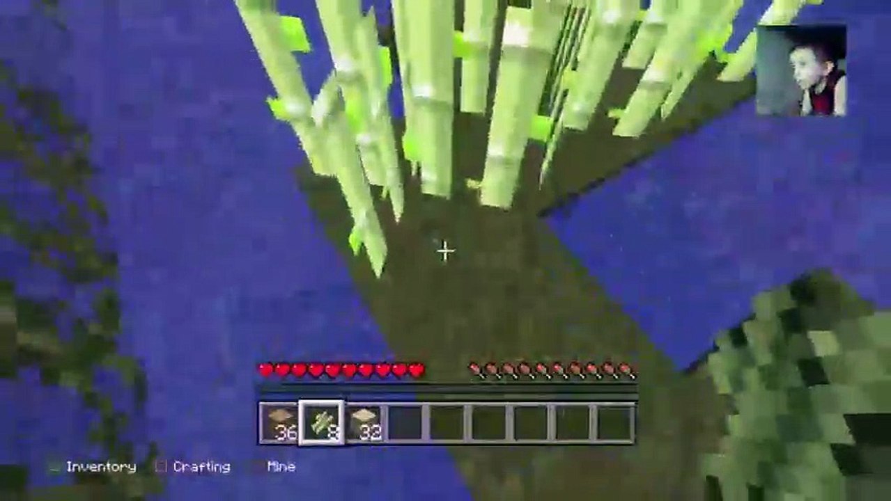 Minecraft #4 (60)