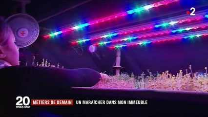 Métiers de demain : un maraîcher dans l'immeuble