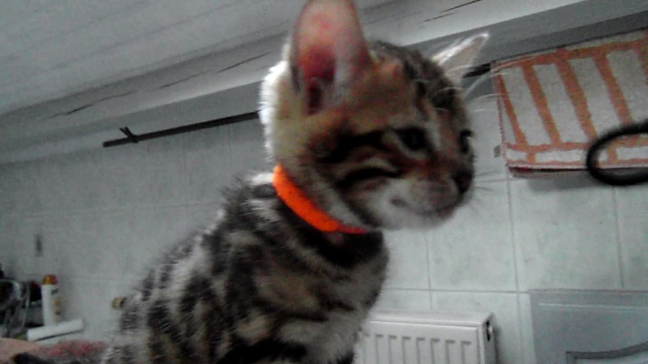 Olympe le 16 febv 18