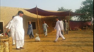 lakki amrwat shadi hujra boys young old attan desi shadi dance