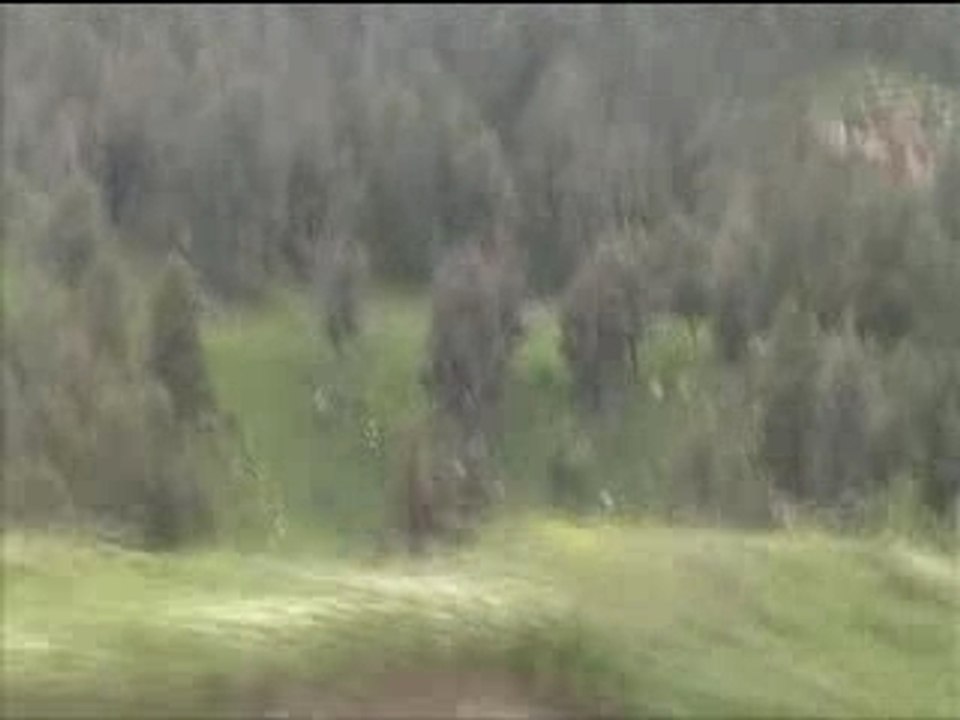 La route de khenchela à beghai