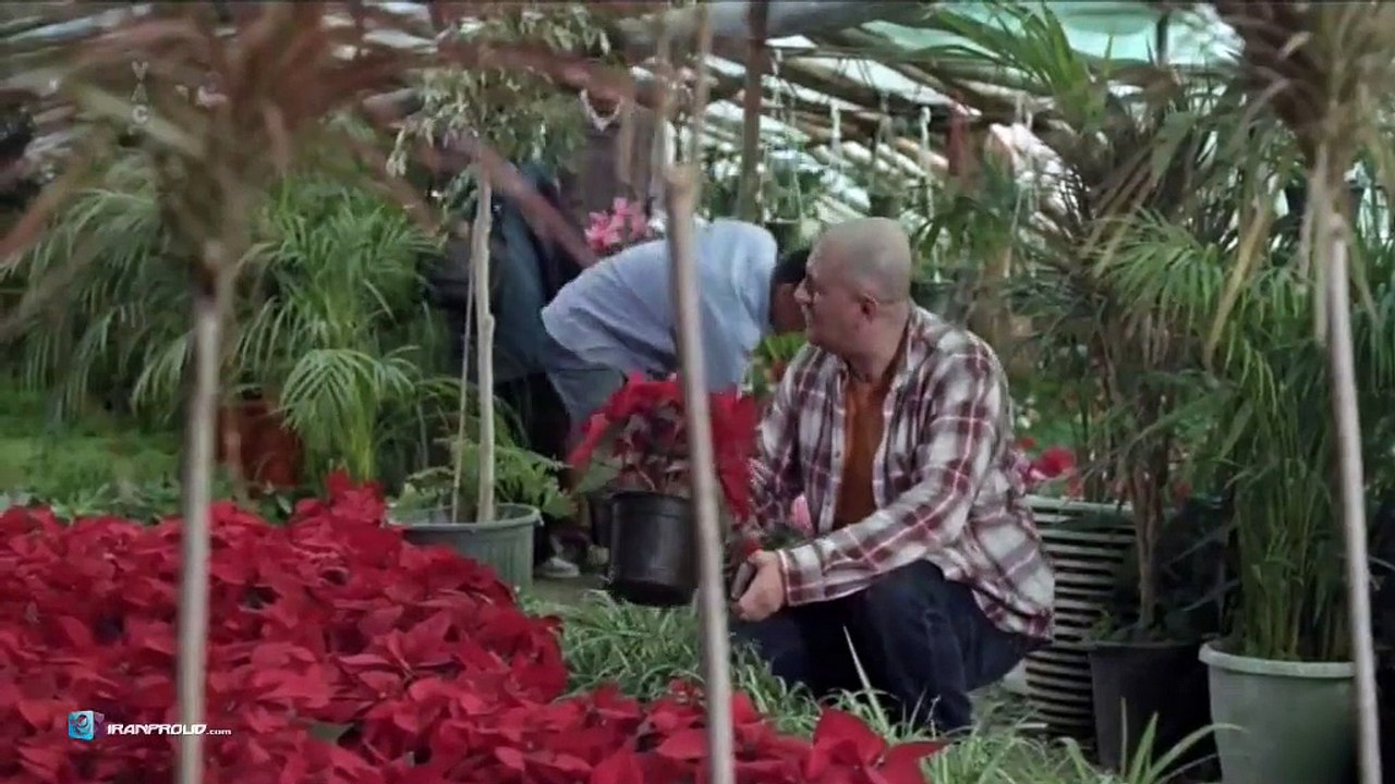 فیلم سینمایی دریاچه ماهی - بخش دوم