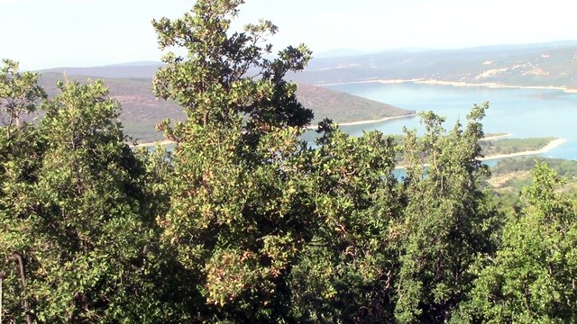 Aiguines-Lac de Ste-Croix 2017 (1)