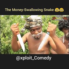 How a jamb staff in Nigerian lied that a snake swallow 36m