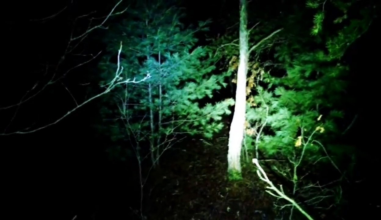 ((GONE WRONG)) HAUNTED DEVIL'S FOREST AT 3AM!