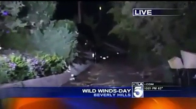 It’s Over! Rebecca Gayheart Files For Divorce From Eric Dane