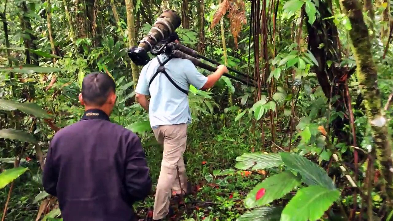 Wonderful Indonesia - Natural Wonders of Sulawesi