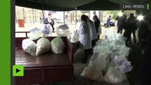 160 kilogrammes de cocaïne réduits en cendres au Pérou