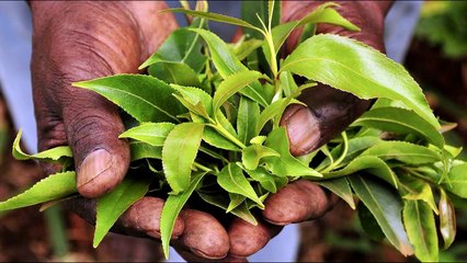 Wararkii ugu Danbeeyey Caalamka & Mustaqbalka Soomaaliya & Itoobiya Part 2