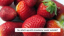 Those 'Seeds' On The Outside Of Strawberries Aren't Actually Seeds