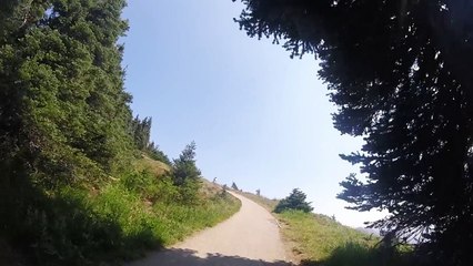 US Olympic National Park Hurricane Ridge