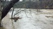 Heavy Rains, Snowmelt Triggers Flooding in Johnstown