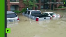 A Houston des habitants et leurs animaux de compagnie sauvés alors que les eaux continuent de monter