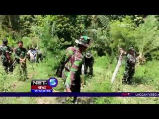 Penemuan Ladang Ganja Seluas 20 Hektar - NET 5