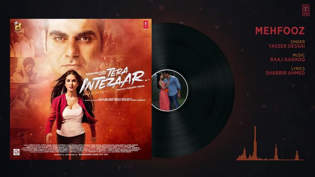 Mehfooz Full Audio Song | Tera Intezaar | Sunny Leone | Arbaaz Khan