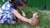 The little cute girl and the little cute kitten ( 720 X 1280 )