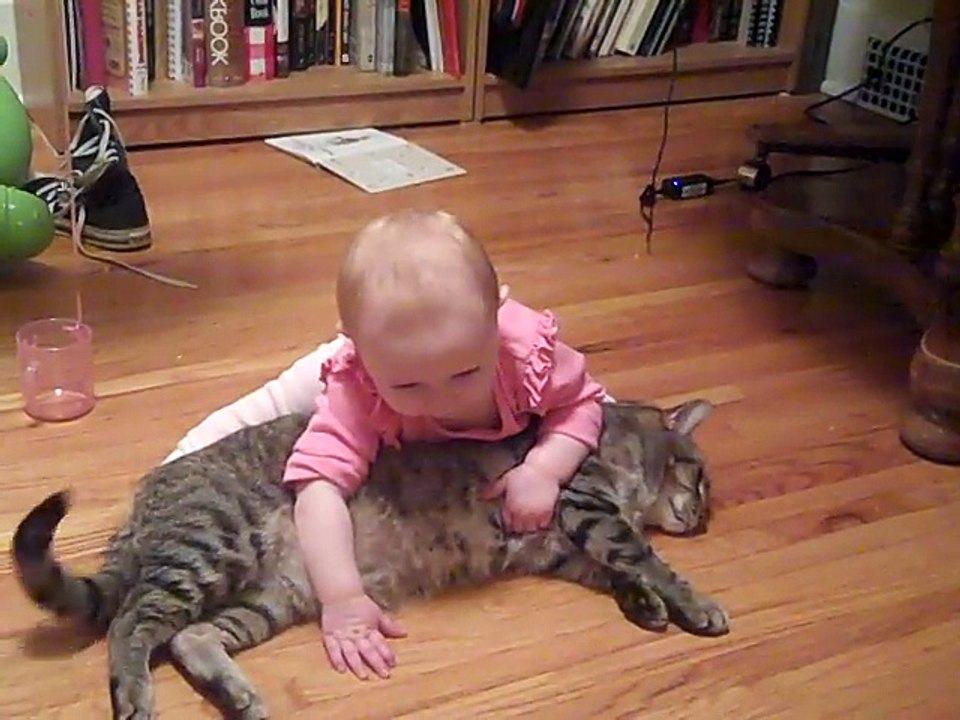 The most patient and docile cat ever! ( 480 X 640 )