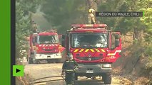 Le Chili est victime des pires feux de forêt de son histoire