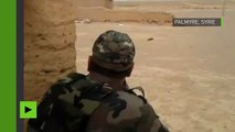 Les forces gouvernementales syriennes combattent les djihadistes à la périphérie de Palmyre