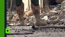 Plus de mines : des militaires russes et des chiens de détection ont déminé Palmyre