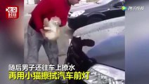 俄罗斯男子竟用流浪猫浸水洗车，你咋不用自己的脸呢？