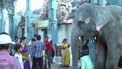 Lakshmi, Temple Elephant blesses visitors