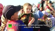 Syrie : RT rencontre des Yézidis fuyant les exactions de Daesh (EXCLUSIF)
