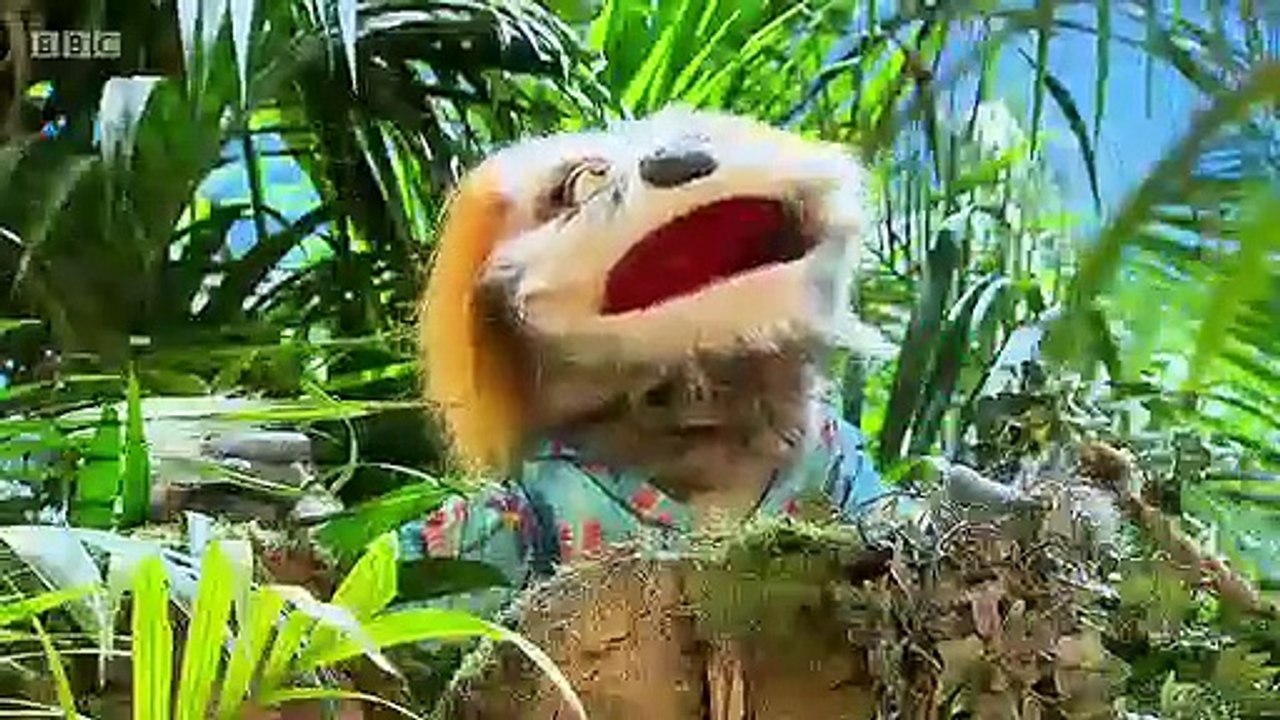 ZingZillas: Series 4: Spread the Word