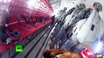Des chiens sautent en parachute dans le cadre de leur préparation militaire en Colombie