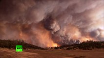 Des incendies dévorent les forêts de Californie