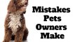 10 Mistakes Even The Most Loving Owners Of Pets Make