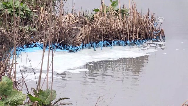 Dereye kimyasal atık döküldüğü iddiası - KOCAELİ