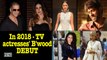 In 2018- TV actresses' Bollywood DEBUT with big stars