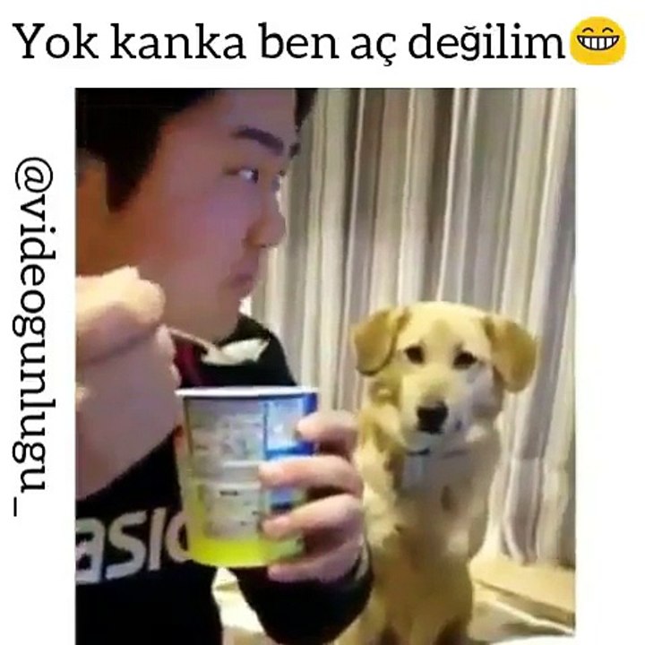 Yemek Yiyen Sahibini İzleyen Köpek ;)