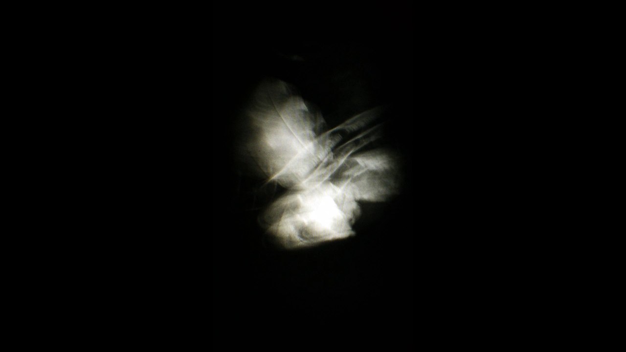 Stylo plume